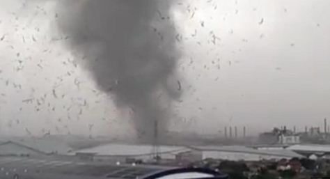 和平日报 | 万隆县宣布进入紧急状态 数个镇区遭受旋风袭击逾百民房受损