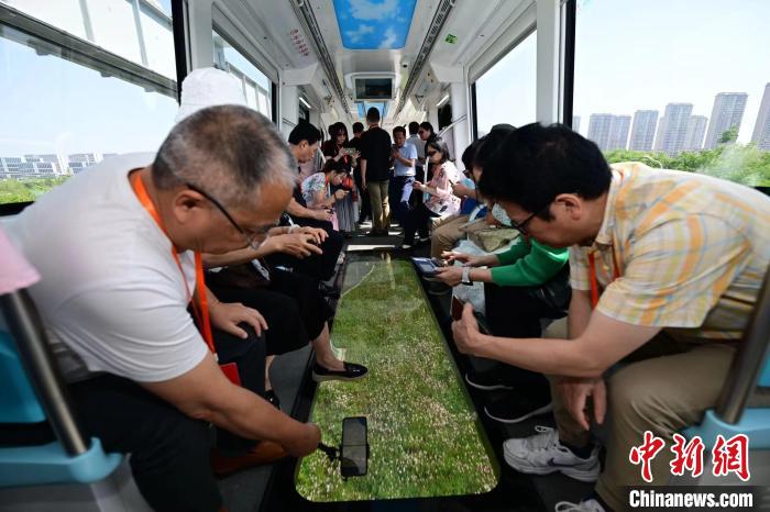 海外华文媒体探访湖北 感受科创发展之新-中新网