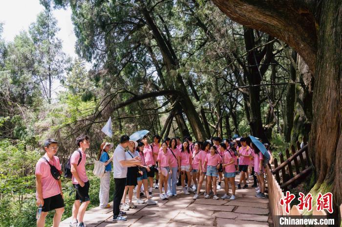 华裔青少年“川”行剑门关 在古蜀道中“寻根”历史-中新网